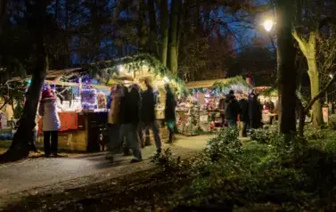 2024_Podkowa Leśna - Jarmark (188 of 280)