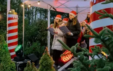 2024_Podkowa Leśna - Jarmark (105 of 280)