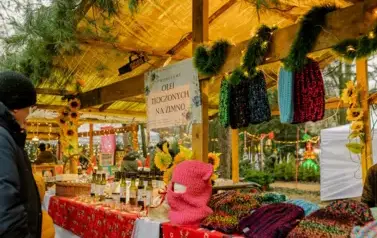 2024_Podkowa Leśna - Jarmark (73 of 280)