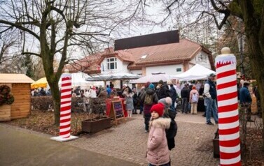 Jarmark 2025_300 DPI -3242