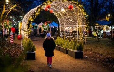 Jarmark 2025_300 DPI -2551