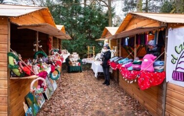 Jarmark 2025_300 DPI -1815