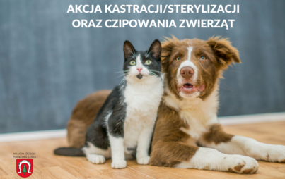 Zdjęcie do Akcja bezpłatnego kastrowania, sterylizowania oraz czipowania zwierząt (ps&oacute;w, kot&oacute;w) należących do mieszkańc&oacute;w Miasta Podkowa Leśna 