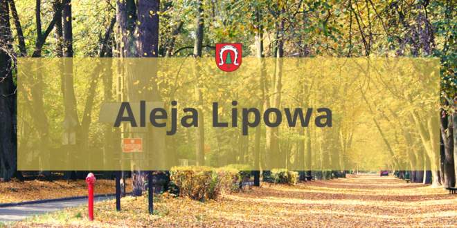 Aleja-Lipowa-660x330