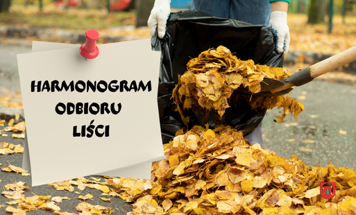 Harmonogram odbioru liści 