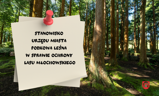Zdjęcie artykułu z dnia 25-05-2026