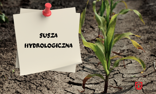 Ostrzeżenie hydrologiczne – susza hydrologiczna na rzekach Pisia i Utrata