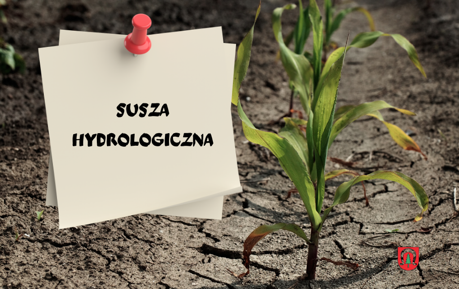 Zdjęcie artykułu z dnia 15-07-2026