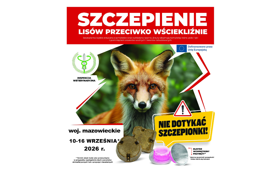 Zdjęcie artykułu z dnia 20-08-2026