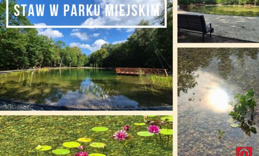 Kulturalne Otwarcie Stawu w Parku Miejskim