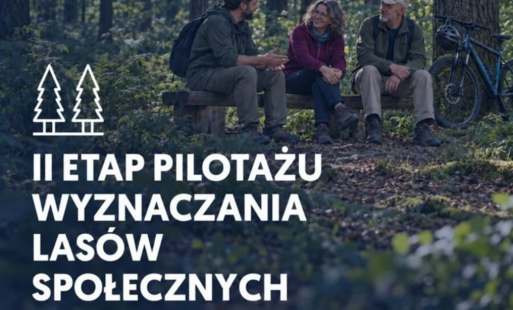 Konsultacje społeczne dotyczące przyszłości Lasu Młochowskiego