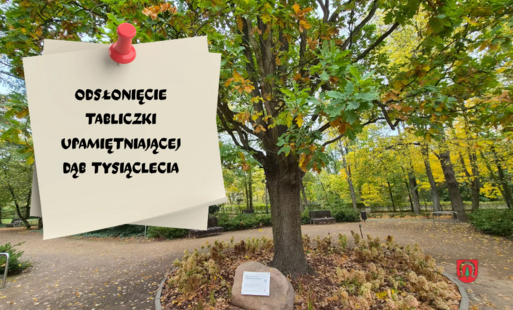 Odsłonięcie tabliczki upamiętniającej Dąb Tysiąclecia