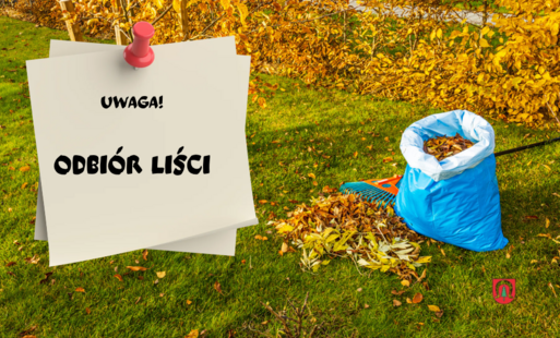  Odbiór liści z nieruchomości mieszkańców