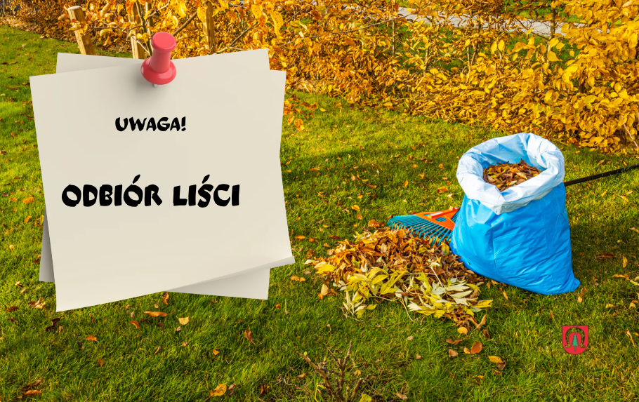 Zdjęcie artykułu z dnia 19-10-2026