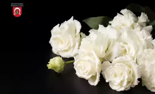 Zdjęcie do Pożegnanie Emilii Drzewickiej