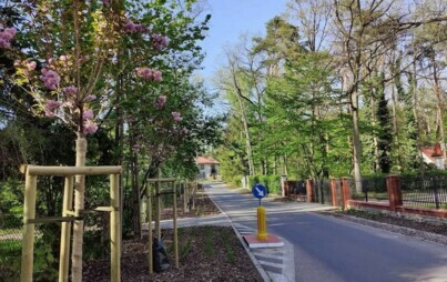 Zdjęcie do Najnowszy numer Biuletynu Miasta, pierwszy w tym roku, trafił dzisiaj do skrzynek mieszkańc&oacute;w