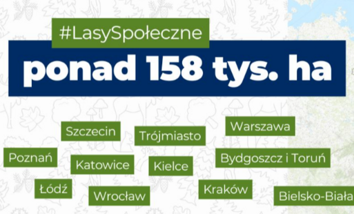 Zdjęcie do Zdecyduj o przyszłości las&oacute;w wok&oacute;ł nas &ndash; weź udział w geoankiecie!